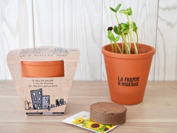 Kit de Plantation dans un Pot en Terre Cuite de 10 cm